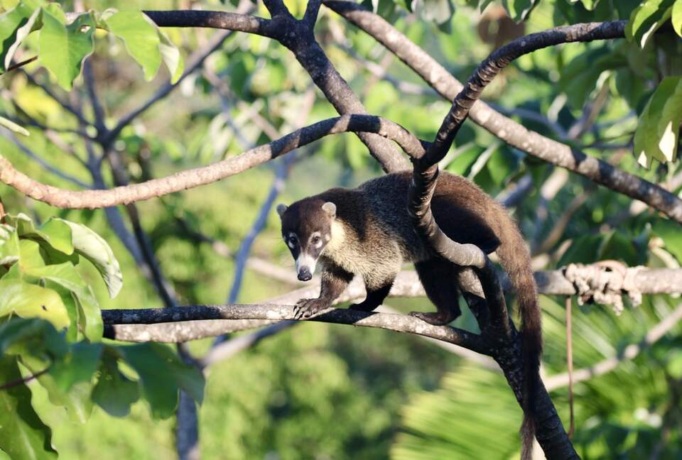 Topanga Villa - Ojochal, Costa Rica