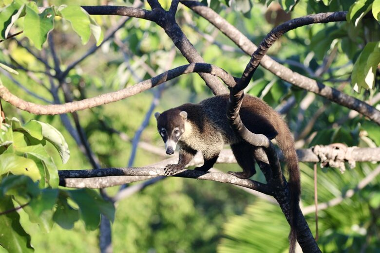 Topanga Villa - Ojochal, Costa Rica