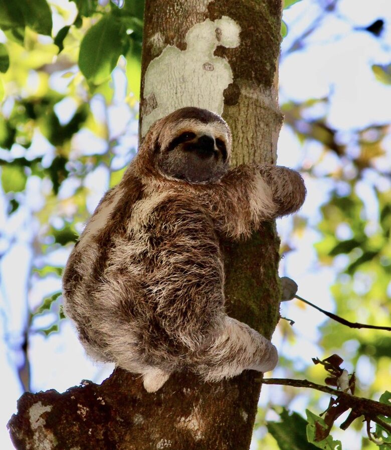 Topanga Villa - Ojochal, Costa Rica