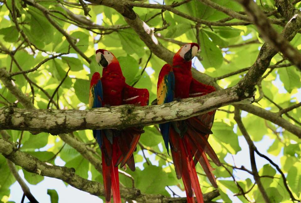 Topanga Villa - Ojochal, Costa Rica