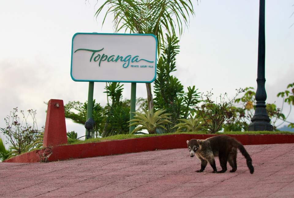 Topanga Villa - Ojochal, Costa Rica