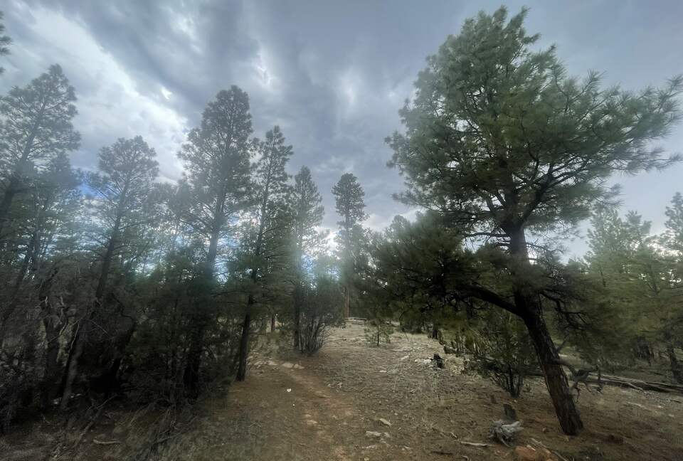 Large, Modern, Brand-new Cabin | On private 6 acres bordering national forest - Happy Jack, Arizona