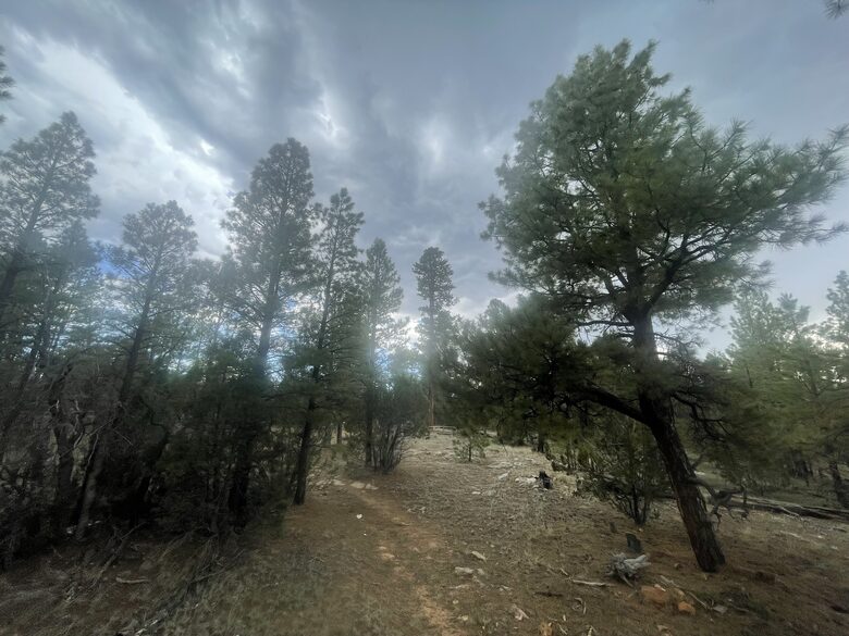 Large, Modern, Brand-new Cabin | On private 6 acres bordering national forest - Happy Jack, Arizona