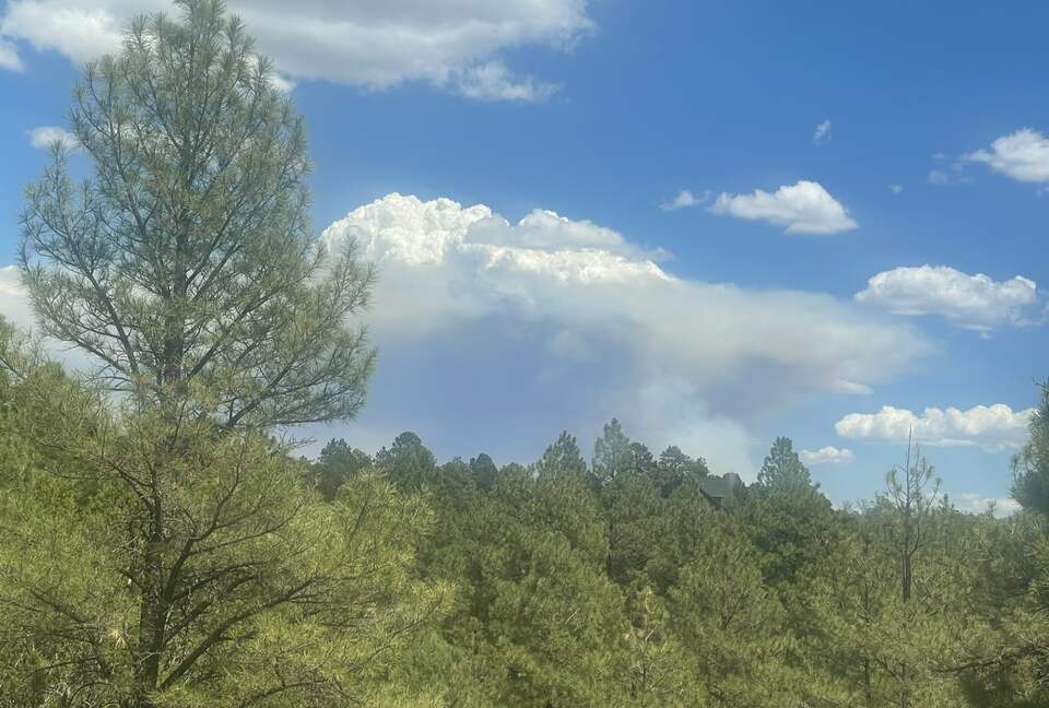 Large, Modern, Brand-new Cabin | On private 6 acres bordering national forest - Happy Jack, Arizona