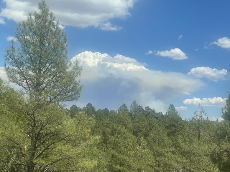 Large, Modern, Brand-new Cabin | On private 6 acres bordering national forest - Happy Jack, Arizona