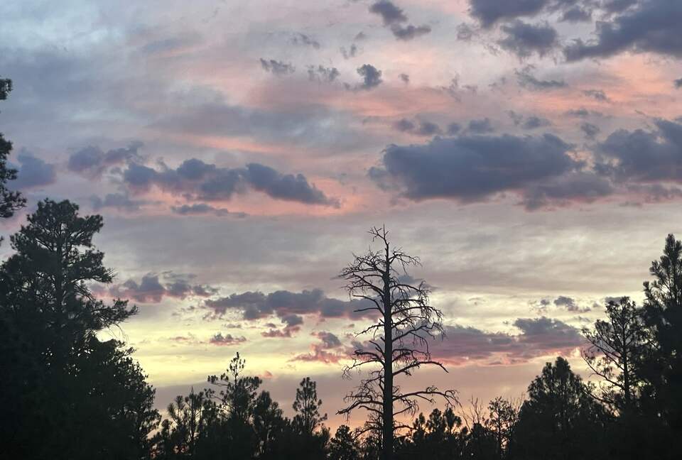 Large, Modern, Brand-new Cabin | On private 6 acres bordering national forest - Happy Jack, Arizona