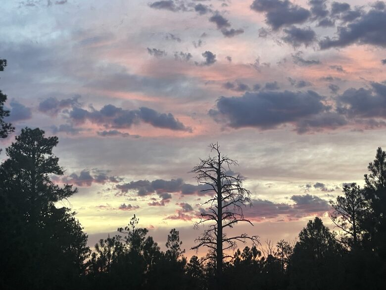 Large, Modern, Brand-new Cabin | On private 6 acres bordering national forest - Happy Jack, Arizona