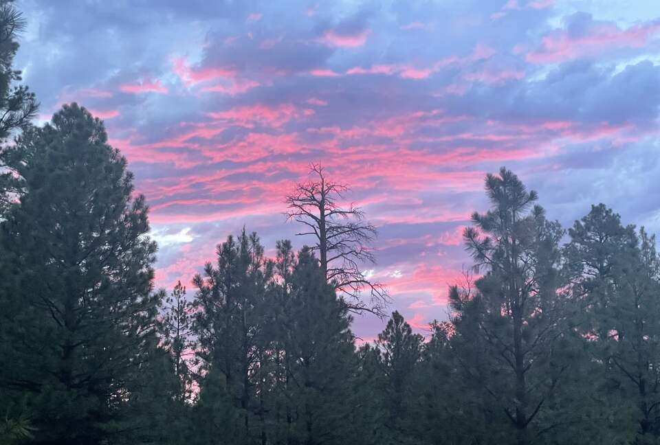 Large, Modern, Brand-new Cabin | On private 6 acres bordering national forest - Happy Jack, Arizona