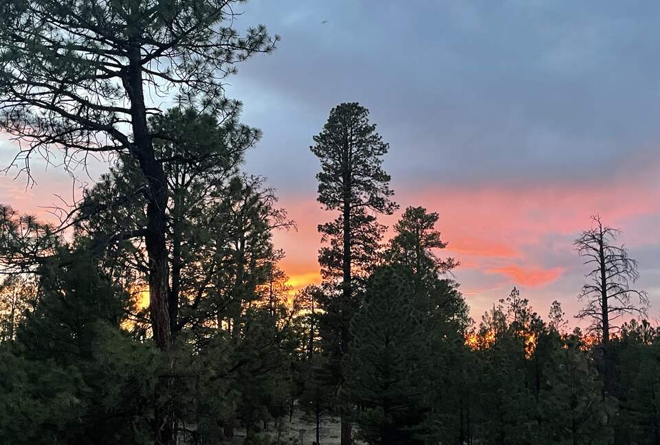 Large, Modern, Brand-new Cabin | On private 6 acres bordering national forest - Happy Jack, Arizona