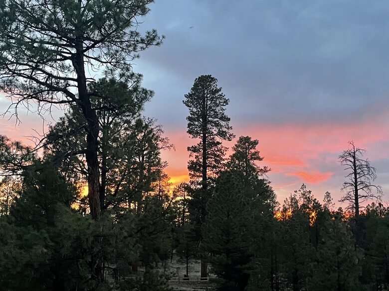 Large, Modern, Brand-new Cabin | On private 6 acres bordering national forest - Happy Jack, Arizona