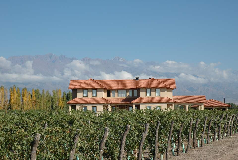 Villa Among the Vines | Stunning Andes views | With a pool and golf - La Consulta, Argentina