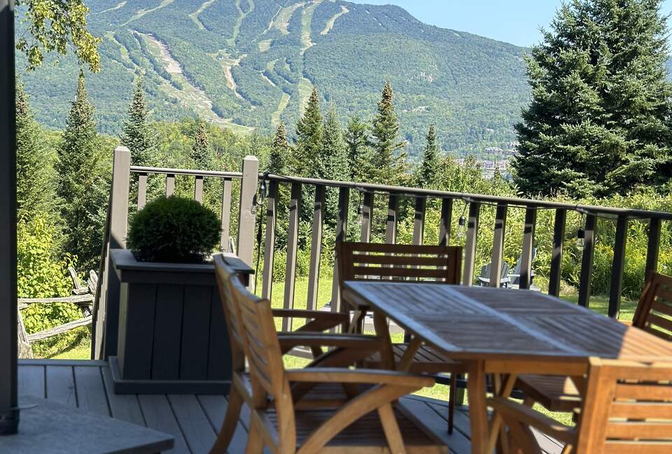 View of the Mountain