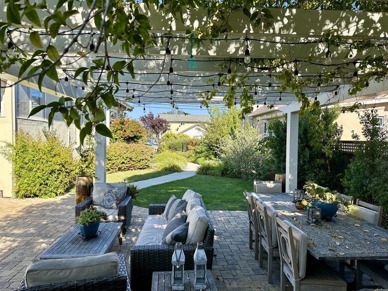 BBQ area and yard w/ fruit trees & vines