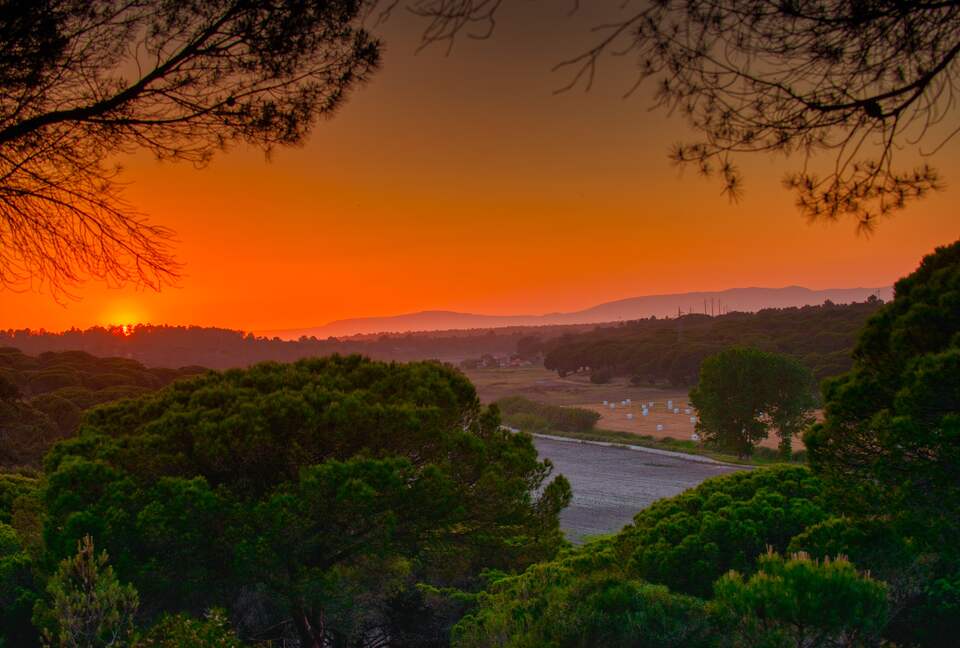 Villa Pinhal | Comporta (R) - Grandola, Portugal