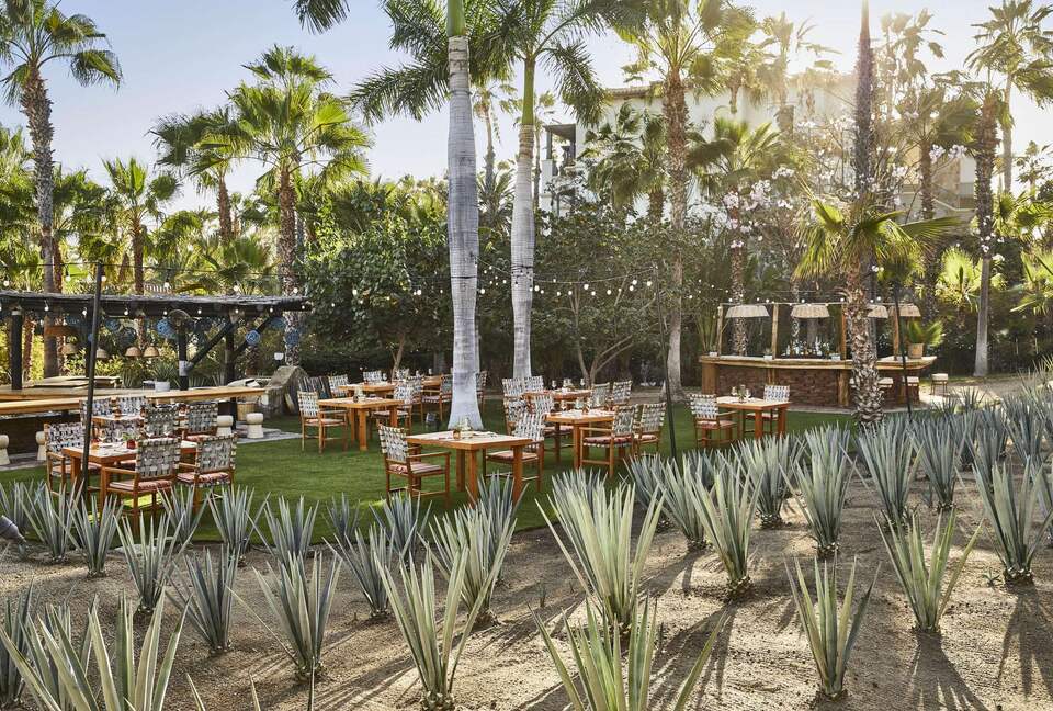 Residence at Esperanza - 3 Bedroom - Cabo San Lucas, B.C.S., Mexico