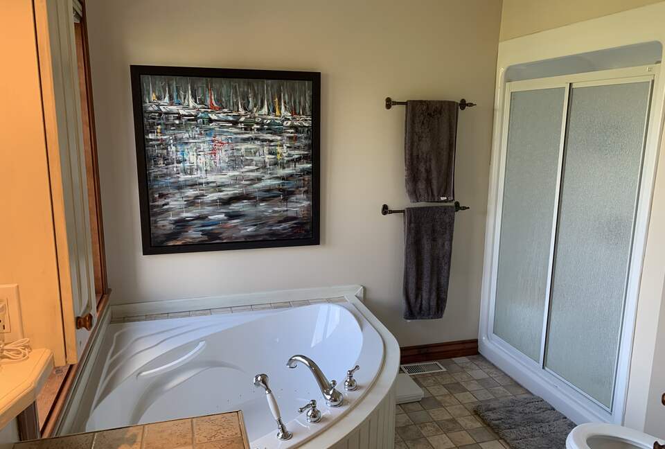 Master bedroom bathroom