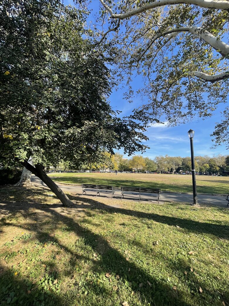 Park-side Single Family Townhouse | With parking! - Brooklyn, New York