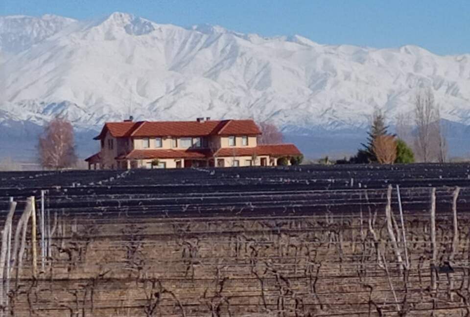 Villa Among the Vines | Stunning Andes views | With a pool and golf - La Consulta, Argentina