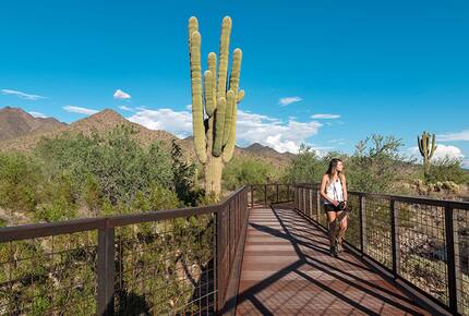 Scottsdale Home with a home office & private pool - Scottsdale, Arizona