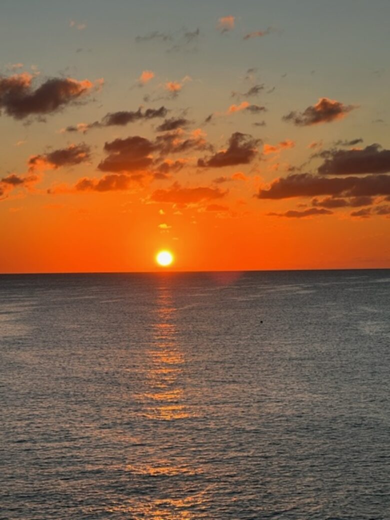 FIN | Three Bedroom Single Level Residence | International Property Award Winner - George Town, Cayman Islands