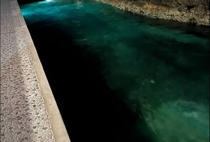 FIN | Three Bedroom Single Level Residence | International Property Award Winner - George Town, Cayman Islands