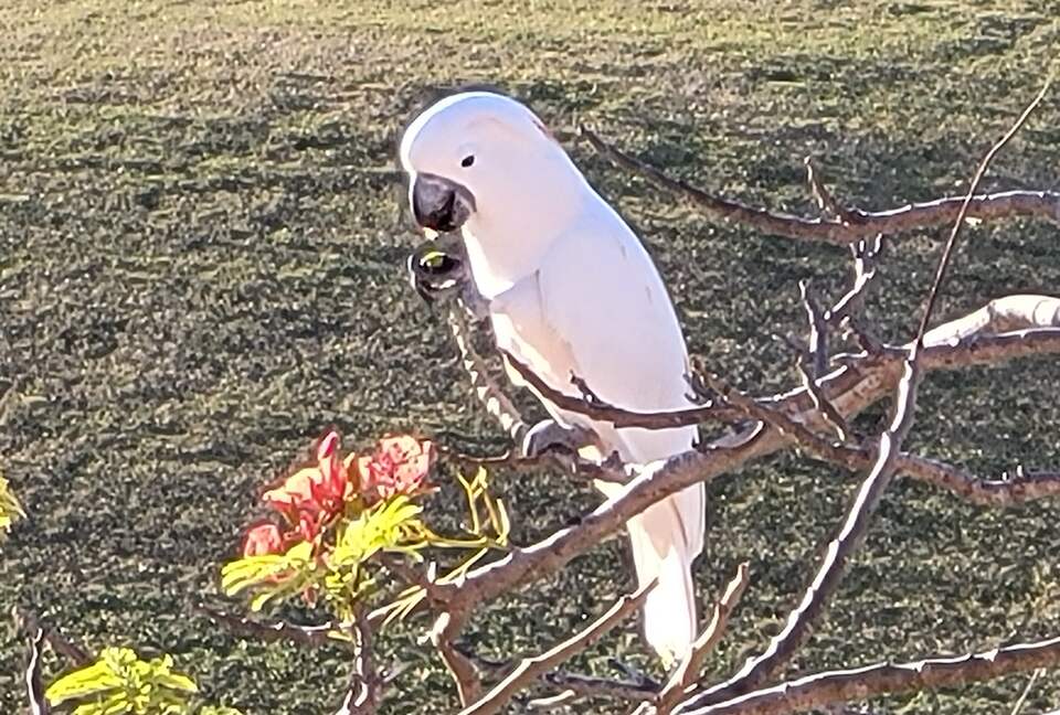 Villa Elena - Humacao, Puerto Rico