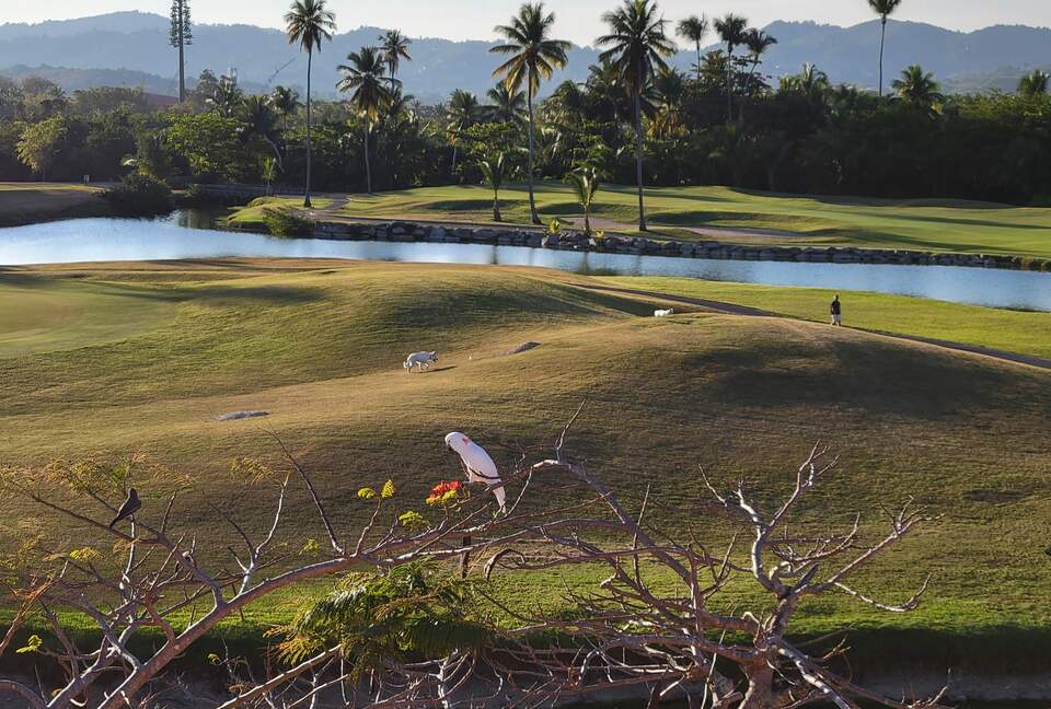 Villa Elena - Humacao, Puerto Rico