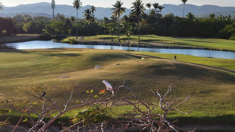 Villa Elena - Humacao, Puerto Rico