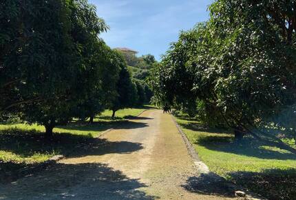 The Mango Grove - Calatagan, Philippines