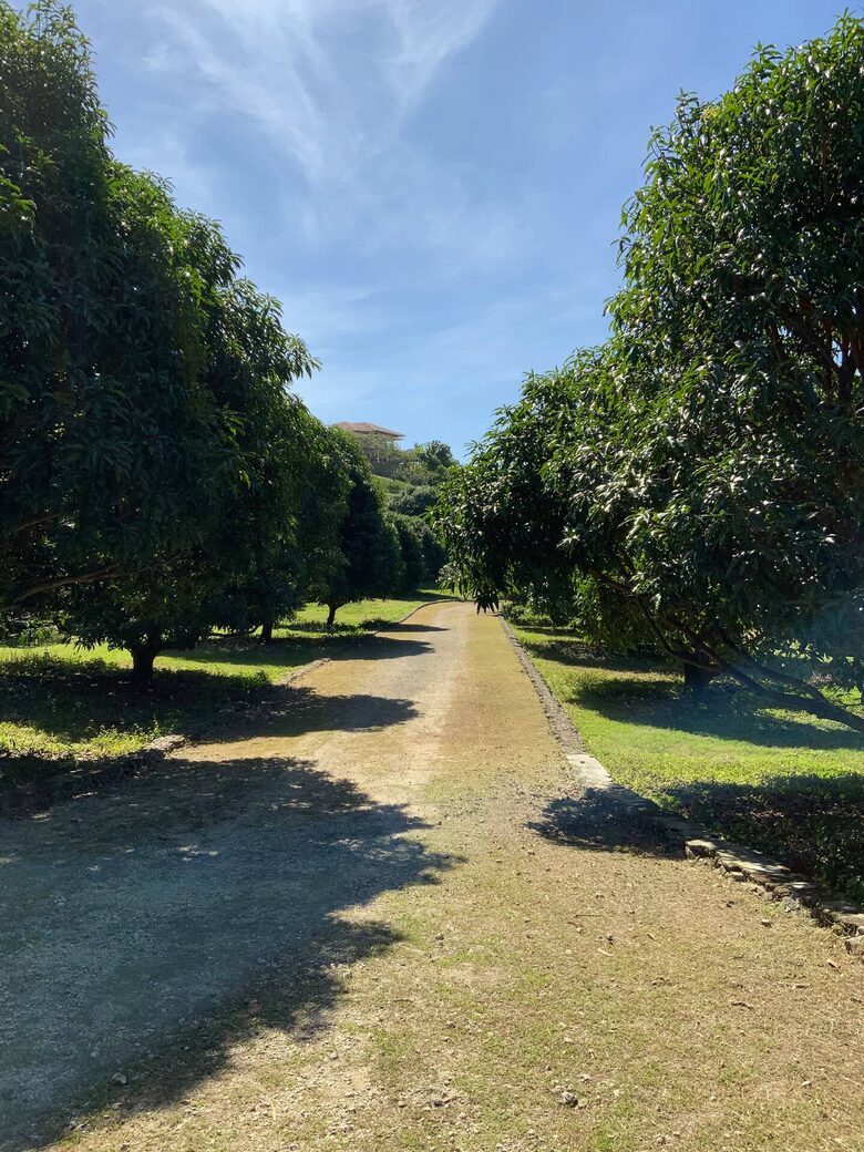 The Mango Grove - Calatagan, Philippines