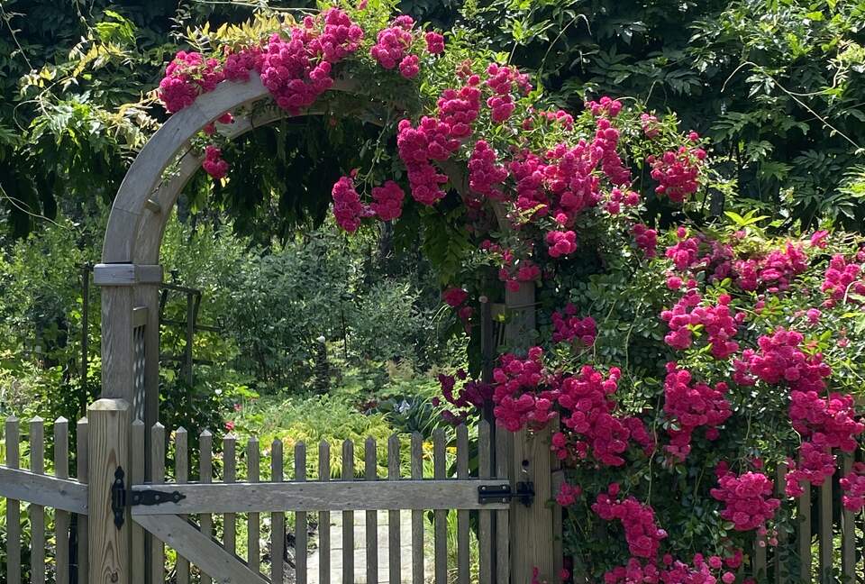Custom secluded home on Cape Cod - Truro, Massachusetts