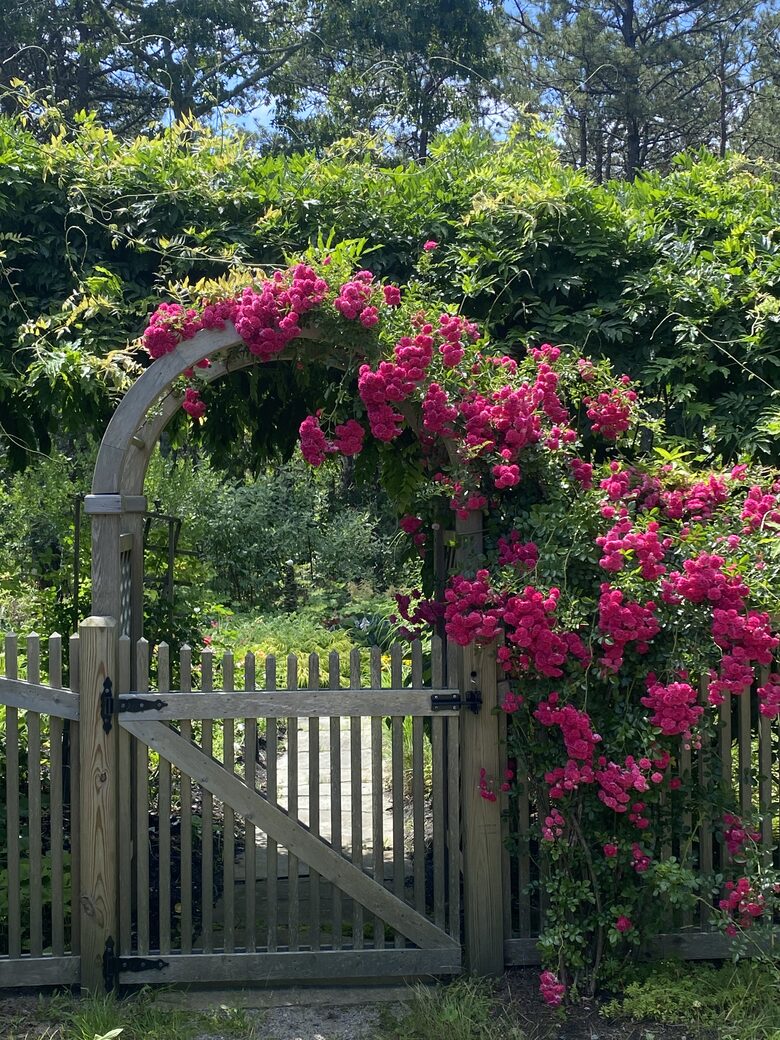 Custom secluded home on Cape Cod - Truro, Massachusetts