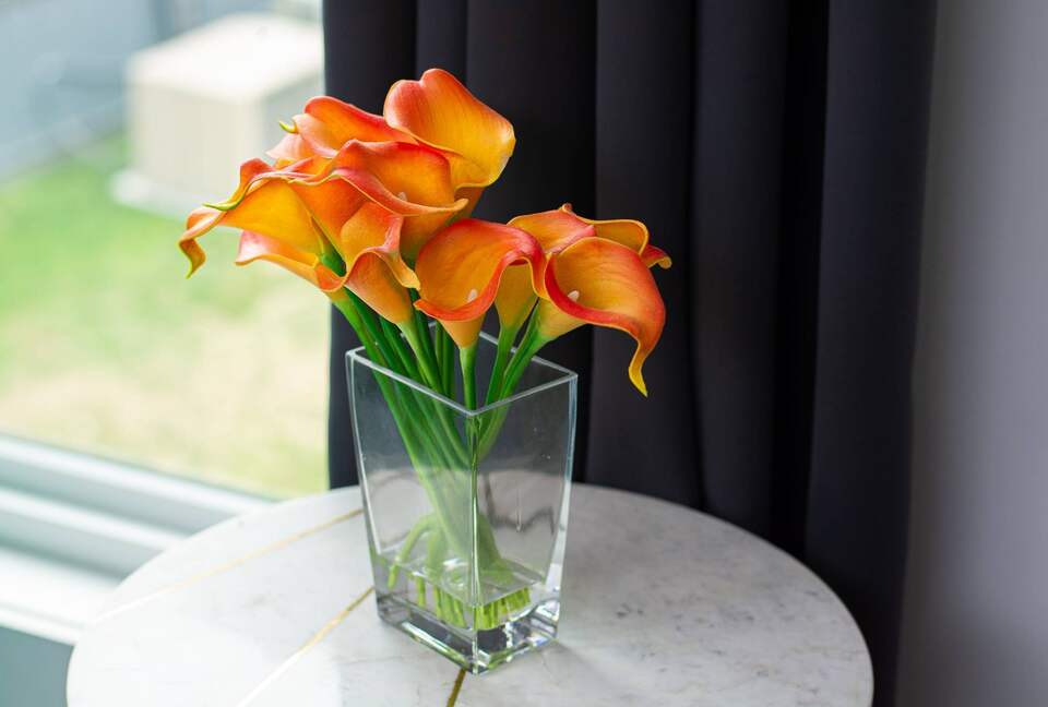 Vibe | Trendy East Nashville Townhome - Nashville, Tennessee