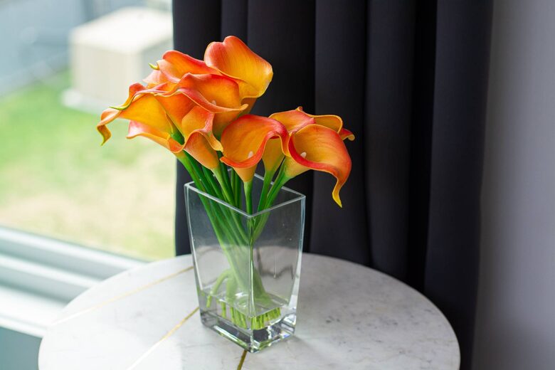 Vibe | Trendy East Nashville Townhome - Nashville, Tennessee