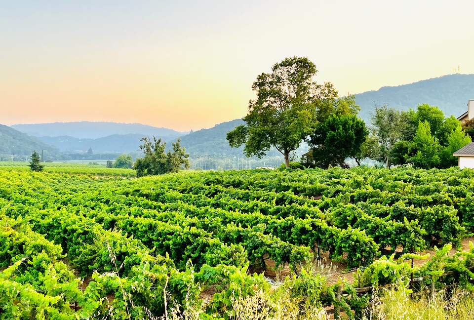 Vino Di Soma Stunning Tuscan Estate - Gilroy, California