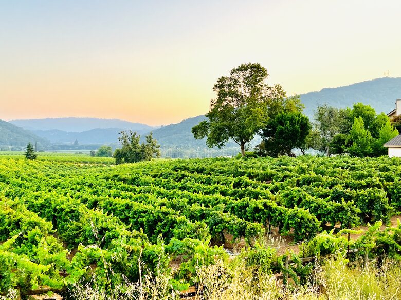 Vino Di Soma Stunning Tuscan Estate - Gilroy, California