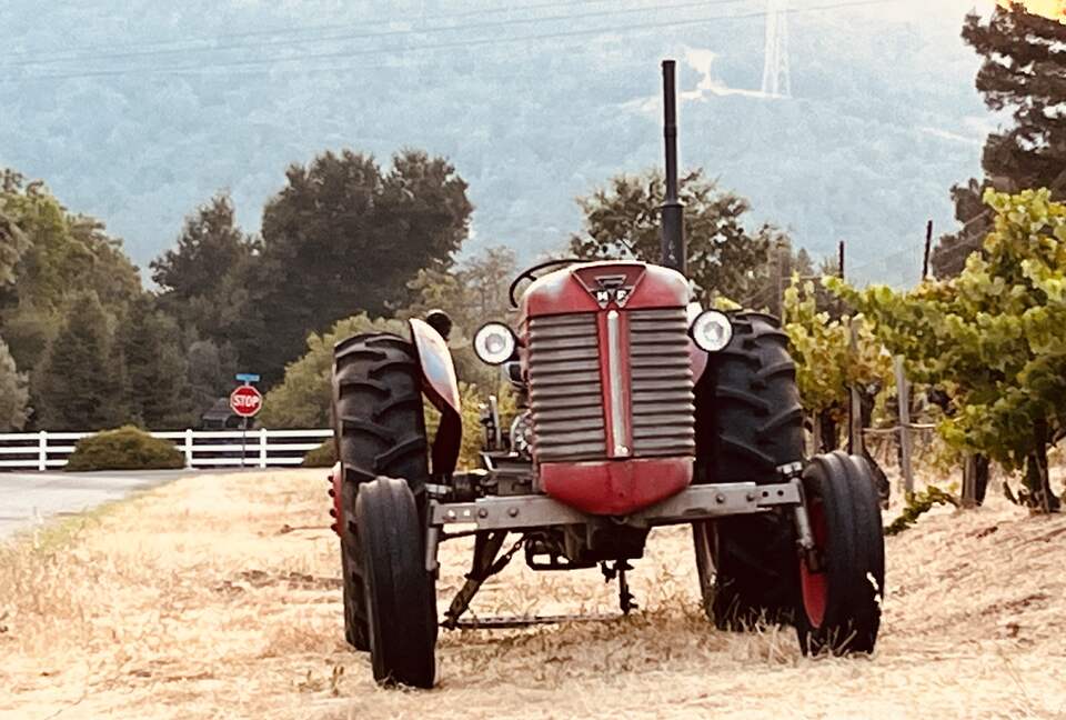 Vino Di Soma Stunning Tuscan Estate - Gilroy, California
