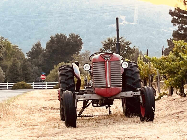 Vino Di Soma Stunning Tuscan Estate - Gilroy, California