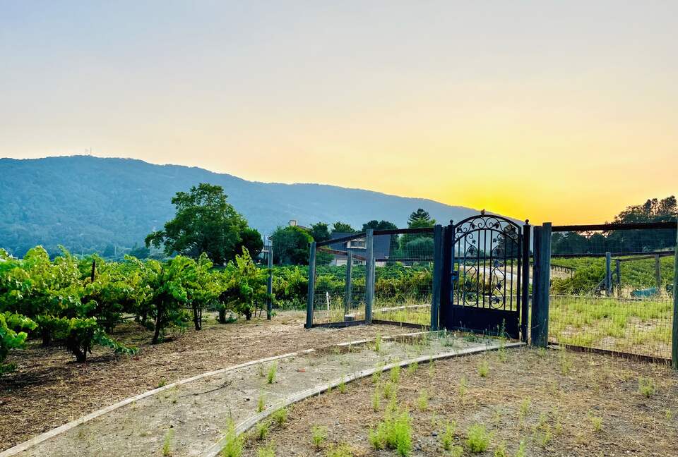 Vino Di Soma Stunning Tuscan Estate - Gilroy, California