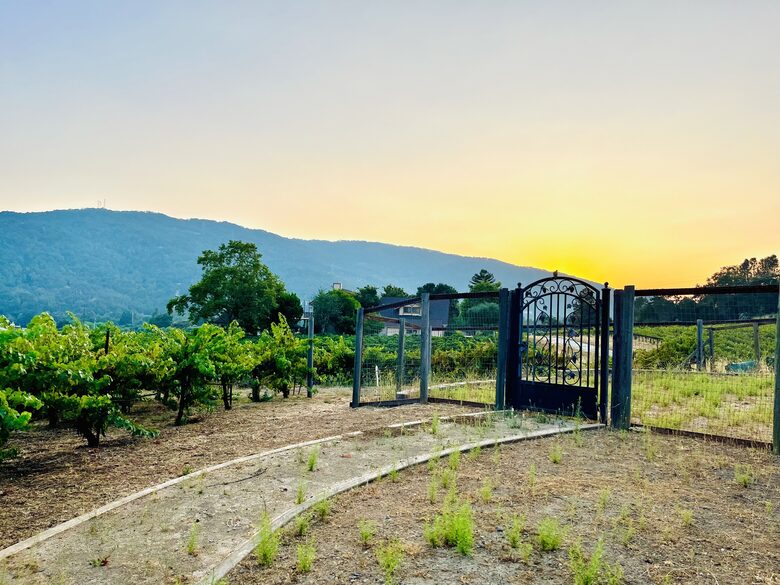 Vino Di Soma Stunning Tuscan Estate - Gilroy, California