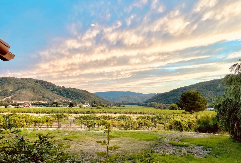Vino Di Soma Stunning Tuscan Estate - Gilroy, California