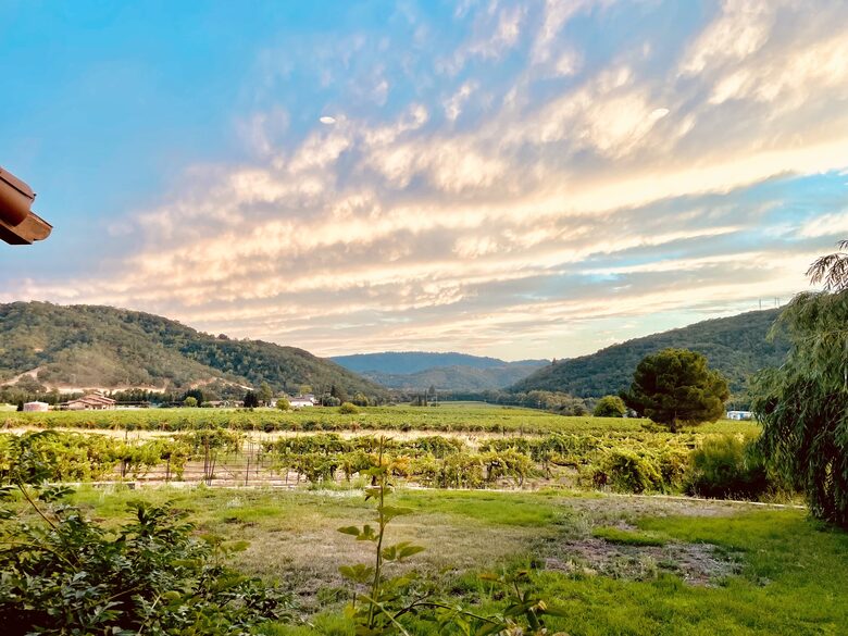Vino Di Soma Stunning Tuscan Estate - Gilroy, California