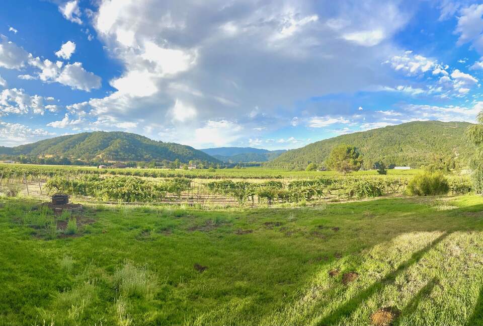 Vino Di Soma Stunning Tuscan Estate - Gilroy, California