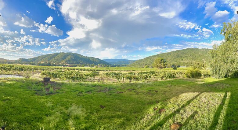 Vino Di Soma Stunning Tuscan Estate - Gilroy, California