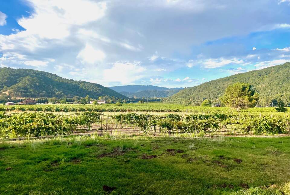 Vino Di Soma Stunning Tuscan Estate - Gilroy, California