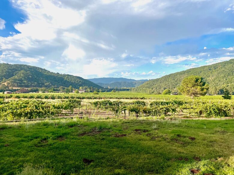 Vino Di Soma Stunning Tuscan Estate - Gilroy, California