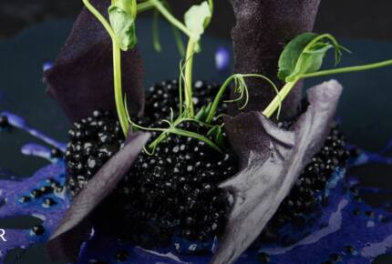 FIN | Three Bedroom Single Level Residence | International Property Award Winner - George Town, Cayman Islands