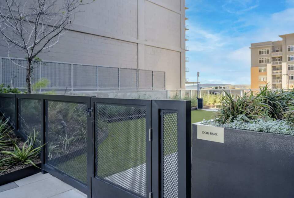 Natiivo Austin Clementine - Austin, Texas