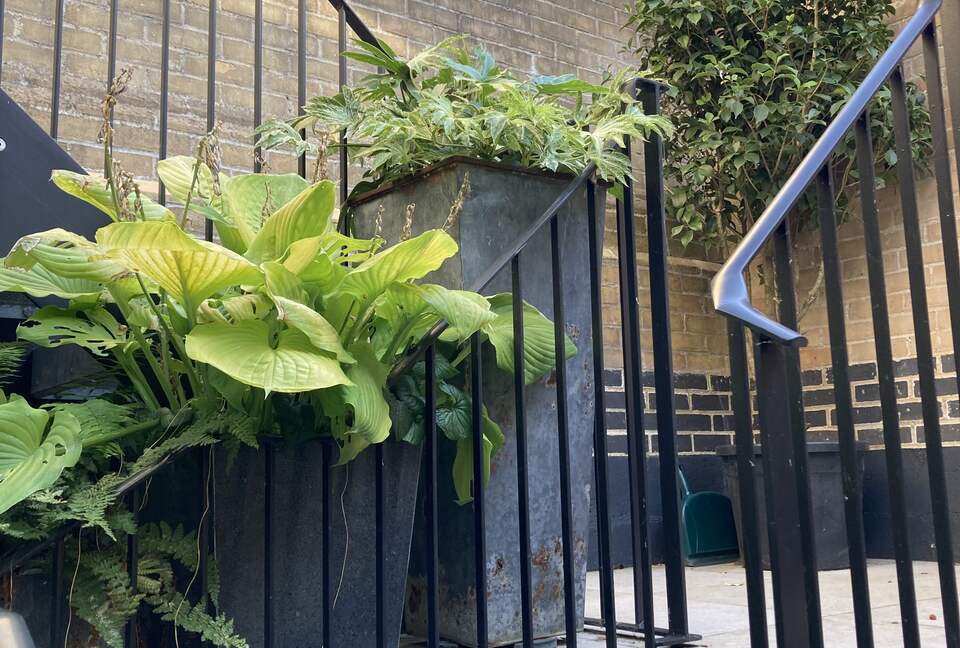 5 Christs Court - Cambridge, United Kingdom