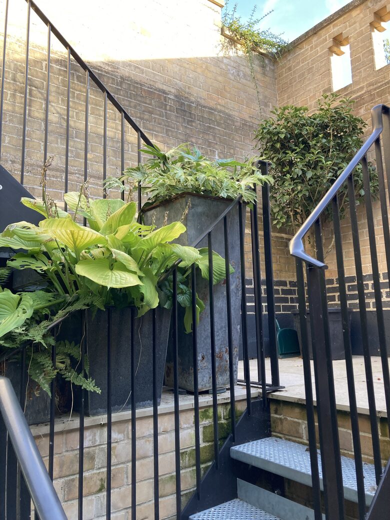 5 Christs Court - Cambridge, United Kingdom